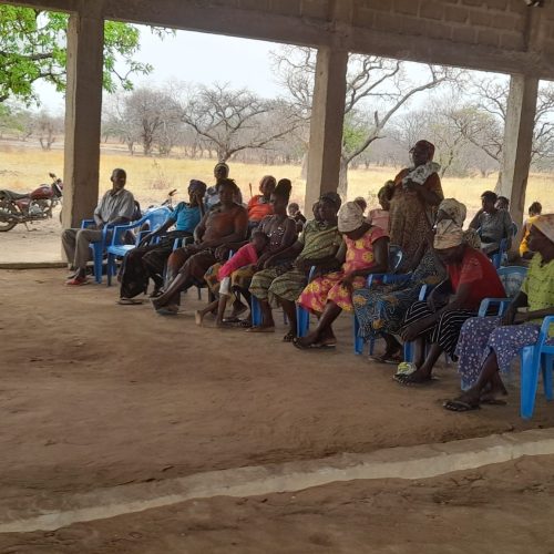 A FEMALE PARTICIPANT SEEKING CLARIFICATION ON AFLATOXIN PREVETION IN SISSILA EAST